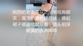 阿西吧老表探花近距离视角聊天，高清拍摄长裙萌妹，撩起裙子摸逼给观众看，镜头前深喉操的水声哗哗