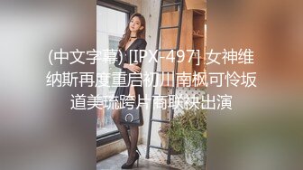 (中文字幕) [IPX-497] 女神维纳斯再度重启初川南枫可怜坂道美琉跨片商联袂出演