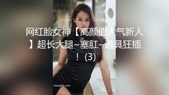  91新人EboArt盛世美胸系列-麻辣大胸喵 白衬衫爆乳女神特殊服务 各种舔裹 超美胸型 后45度角拍 高清1080P版