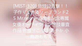 [MIST-320] 危険日直撃！！子作りできるソープランド25 Mr.michiru5周年記念専属女優オーディション演技審査作品 佐藤りこ 望月あやか 小鳥遊ももえ