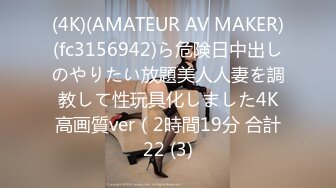 (4K)(AMATEUR AV MAKER)(fc3156942)ら危険日中出しのやりたい放題美人人妻を調教して性玩具化しました4K高画質ver（2時間19分 合計22 (3)