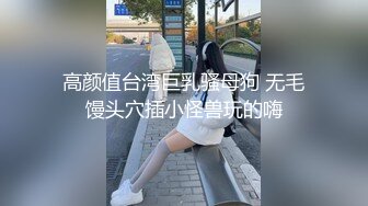 高颜值台湾巨乳骚母狗 无毛馒头穴插小怪兽玩的嗨