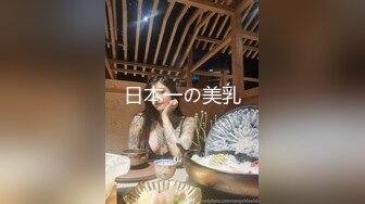 日本一の美乳