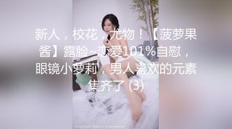 新人，校花，尤物！【菠萝果酱】露脸~恋爱101%自慰，眼镜小萝莉，男人喜欢的元素集齐了 (3)