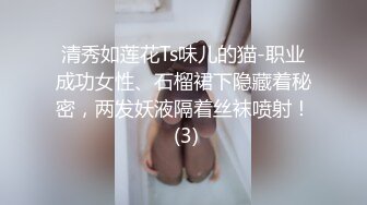 清秀如莲花Ts味儿的猫-职业成功女性、石榴裙下隐藏着秘密，两发妖液隔着丝袜喷射！ (3)