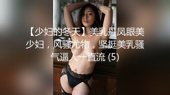 【少妇的冬天】美乳丹凤眼美少妇，风骚尤物，坚挺美乳骚气逼人一直流 (5)