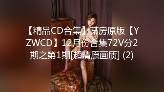 【精品CD合集】某房原版【YZWCD】12月份合集72V分2期之第1期[超清原画质] (2)