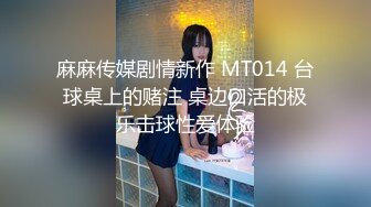 麻麻传媒剧情新作 MT014 台球桌上的赌注 桌边口活的极乐击球性爱体验