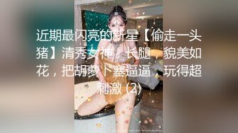 近期最闪亮的新星【偷走一头猪】清秀女神，长腿，貌美如花，把胡萝卜塞逼逼，玩得超刺激 (2)